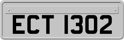 ECT1302
