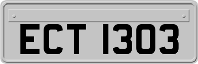 ECT1303