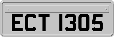 ECT1305
