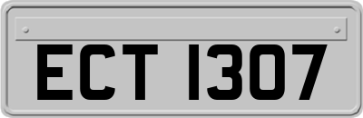 ECT1307