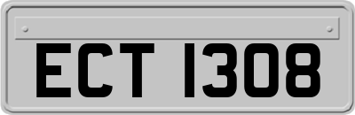 ECT1308