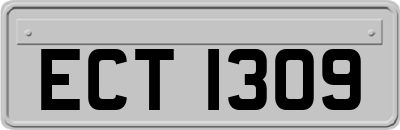 ECT1309