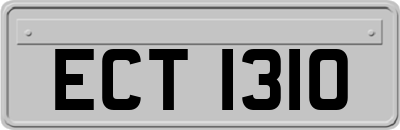 ECT1310