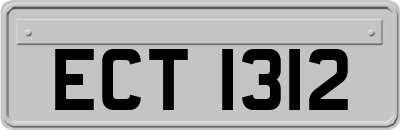 ECT1312