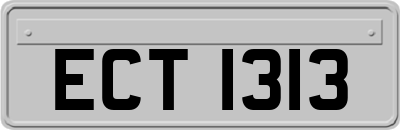 ECT1313