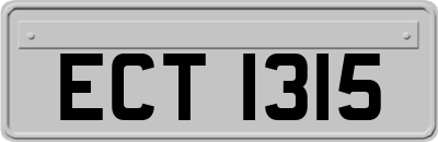 ECT1315