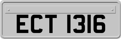 ECT1316