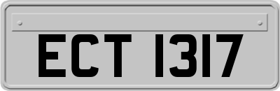 ECT1317