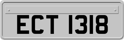 ECT1318