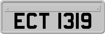 ECT1319