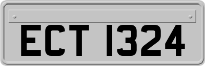 ECT1324