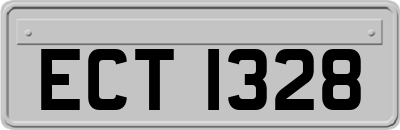 ECT1328