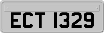 ECT1329