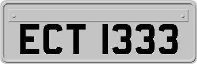 ECT1333