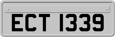 ECT1339