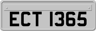 ECT1365