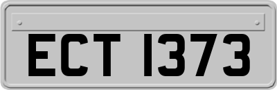 ECT1373