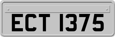 ECT1375