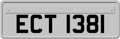 ECT1381