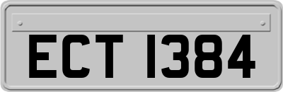 ECT1384