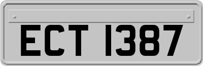 ECT1387