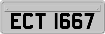 ECT1667