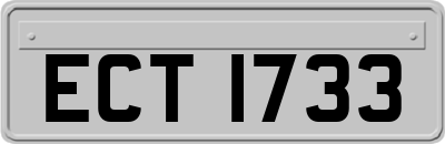 ECT1733
