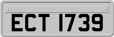 ECT1739