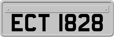 ECT1828