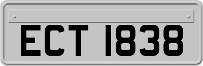 ECT1838