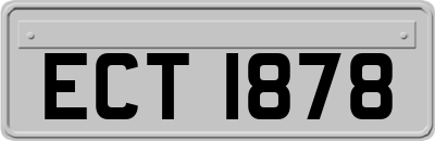 ECT1878