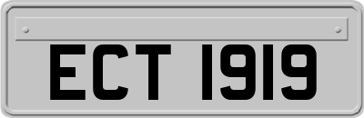 ECT1919
