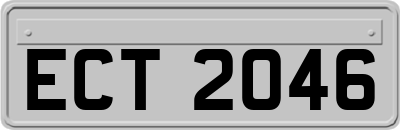 ECT2046