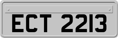 ECT2213