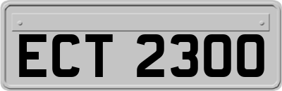 ECT2300