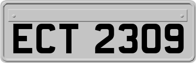 ECT2309