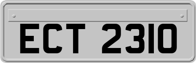 ECT2310