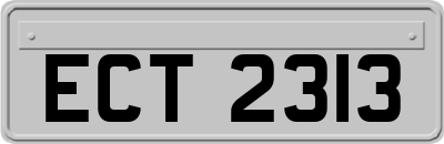 ECT2313