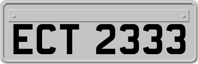 ECT2333