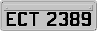 ECT2389