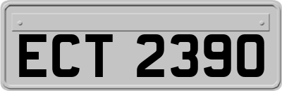 ECT2390