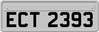 ECT2393