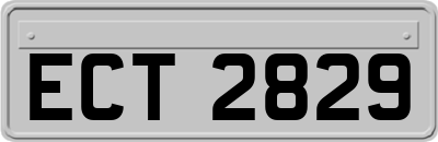 ECT2829