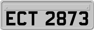 ECT2873