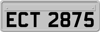 ECT2875
