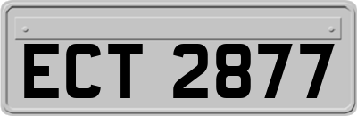 ECT2877