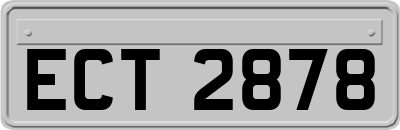 ECT2878