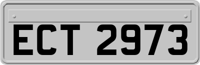 ECT2973