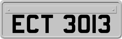 ECT3013