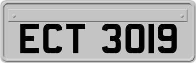 ECT3019